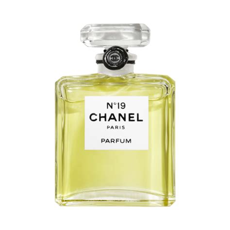 19 chanel perfume|where to buy chanel 19.